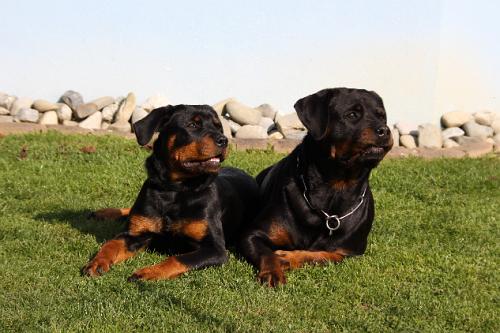 2010_10_13_023.JPG