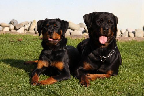 2010_10_13_030.JPG