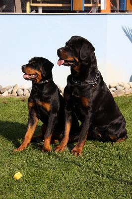 2010_10_13_042.JPG