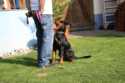 2010_10_13_051.JPG