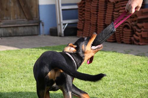 2010_10_13_063.JPG