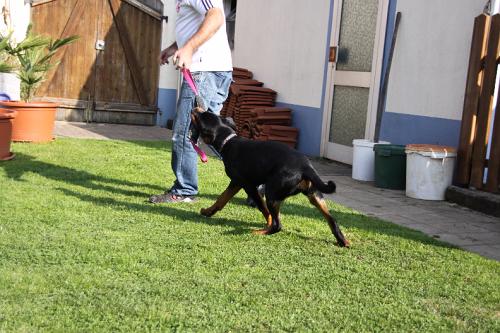 2010_10_13_067.JPG