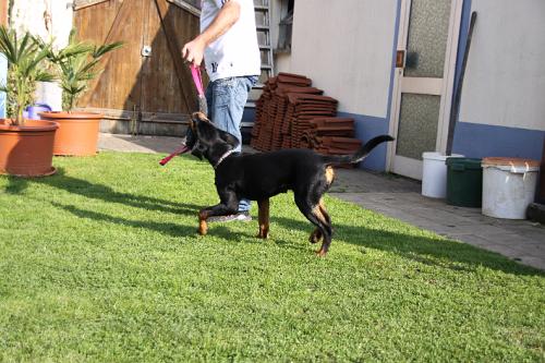 2010_10_13_068.JPG
