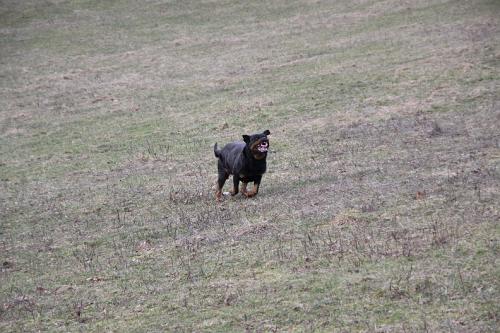 2010_03_04_079.JPG
