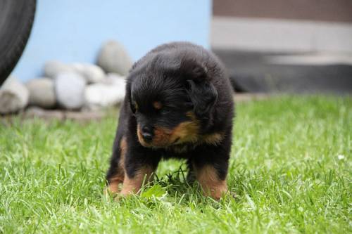 2010_05_26_039.JPG