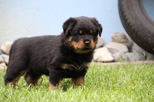 2010_05_26_041.JPG