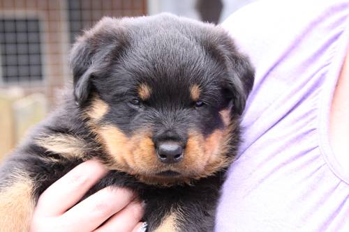 2010_05_26_069.JPG