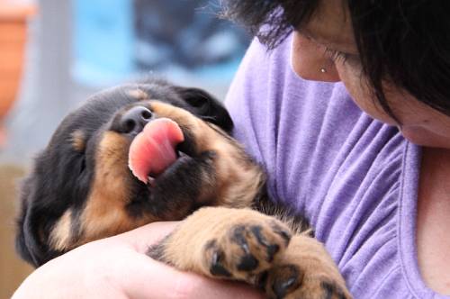 2010_05_26_085.JPG