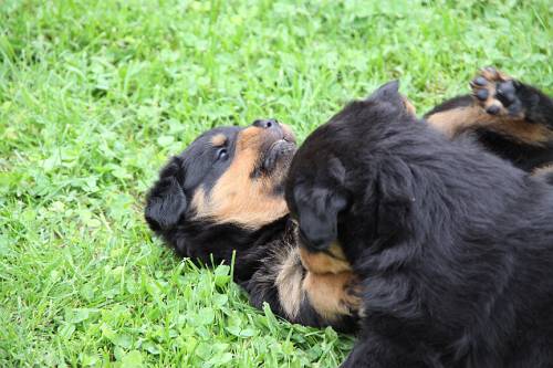2010_05_26_099.JPG