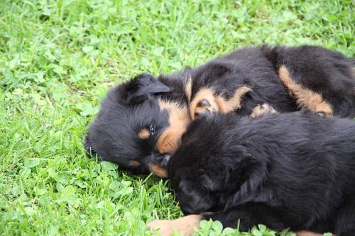 2010_05_26_100.JPG