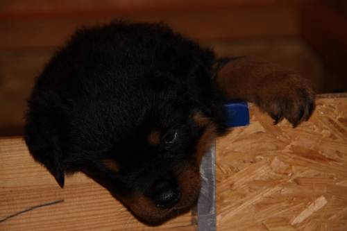 2010_05_26_106.JPG